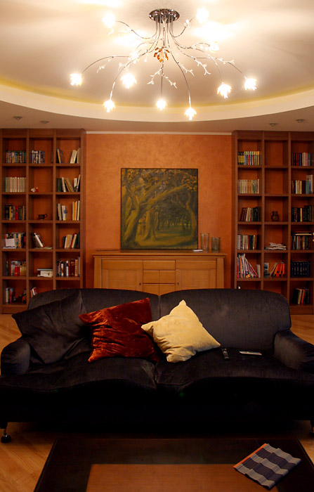 Interior. Functionalism